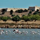 Castro Marim Nature Reserve