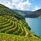 Rio Douro at the heart of the demarcated port-wine region.