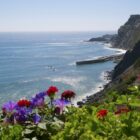 Arrifana - one of the most beautiful and best-preserved coastal areas of Europe
