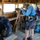 Birdwatching Algarve