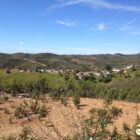 Walking in countryside Tavira