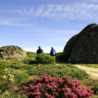 Walking in Serra da Estrela Nature Park